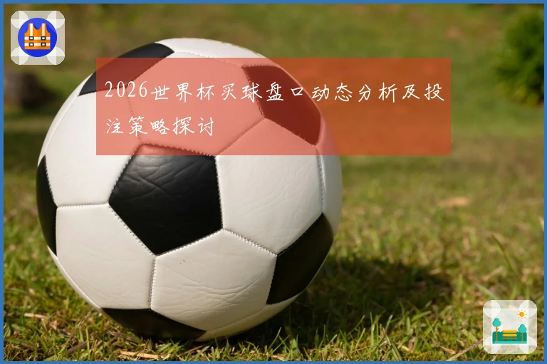 2026世界杯买球盘口动态分析及投注策略探讨