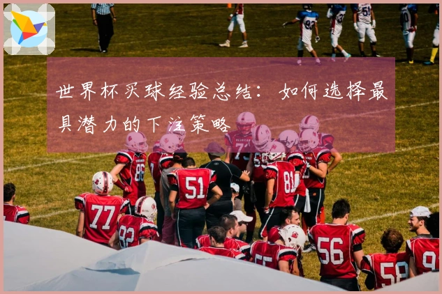 世界杯买球经验总结：如何选择最具潜力的下注策略