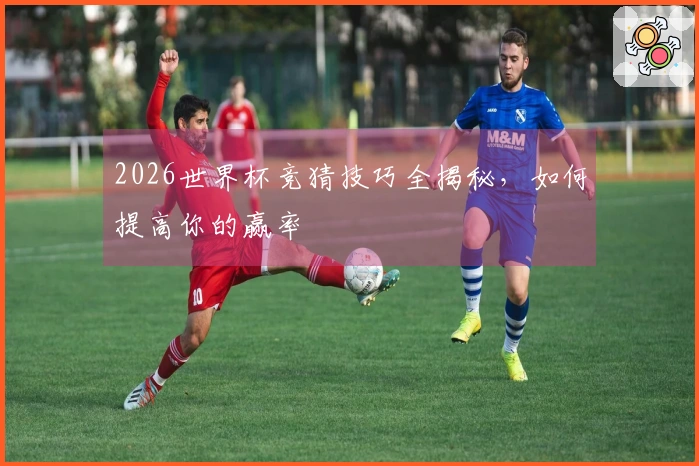 2026世界杯竞猜技巧全揭秘，如何提高你的赢率