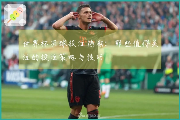 世界杯买球投注热潮：那些值得关注的投注策略与技巧