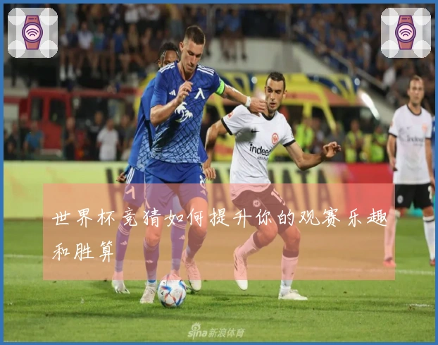 世界杯竞猜如何提升你的观赛乐趣和胜算