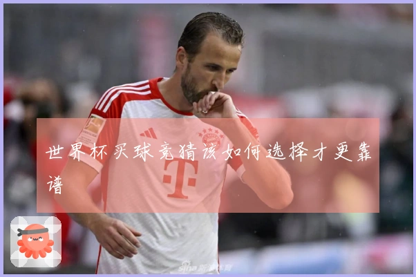 世界杯买球竞猜该如何选择才更靠谱