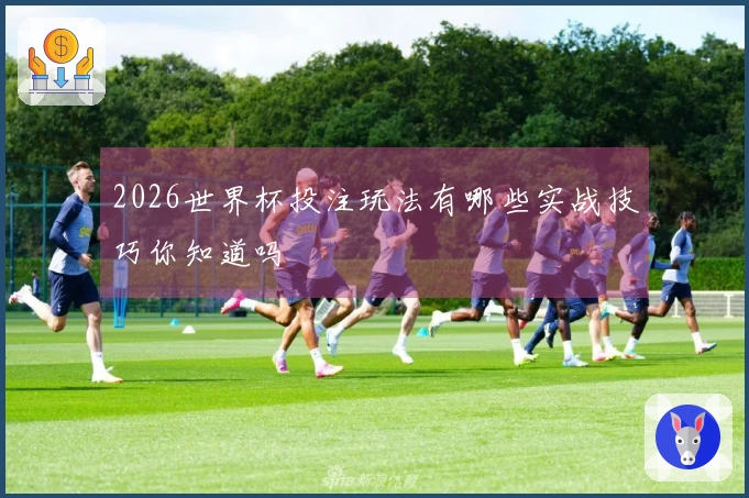 2026世界杯投注玩法有哪些实战技巧你知道吗