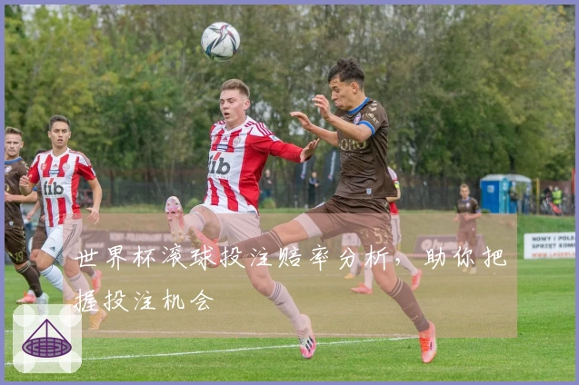 世界杯滚球投注赔率分析，助你把握投注机会