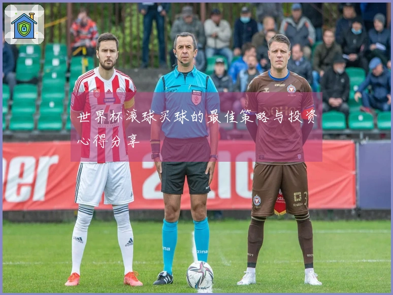 世界杯滚球买球的最佳策略与投资心得分享