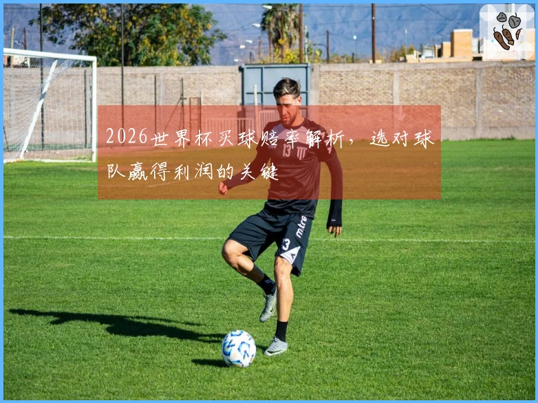 2026世界杯买球赔率解析，选对球队赢得利润的关键
