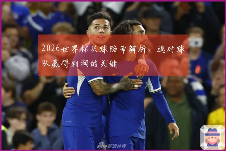 2026世界杯买球赔率解析，选对球队赢得利润的关键