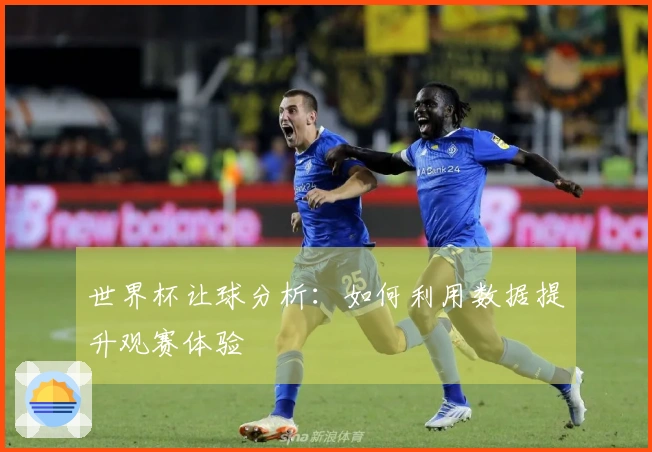 世界杯让球分析：如何利用数据提升观赛体验