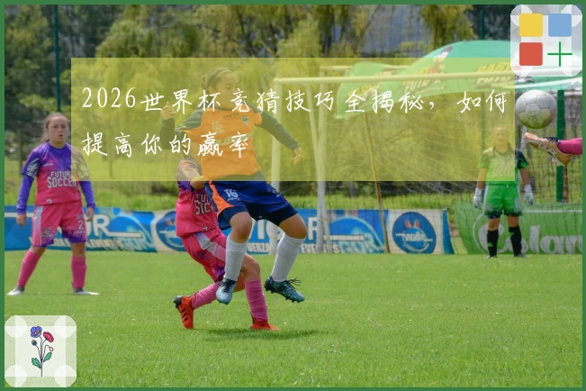 2026世界杯竞猜技巧全揭秘，如何提高你的赢率