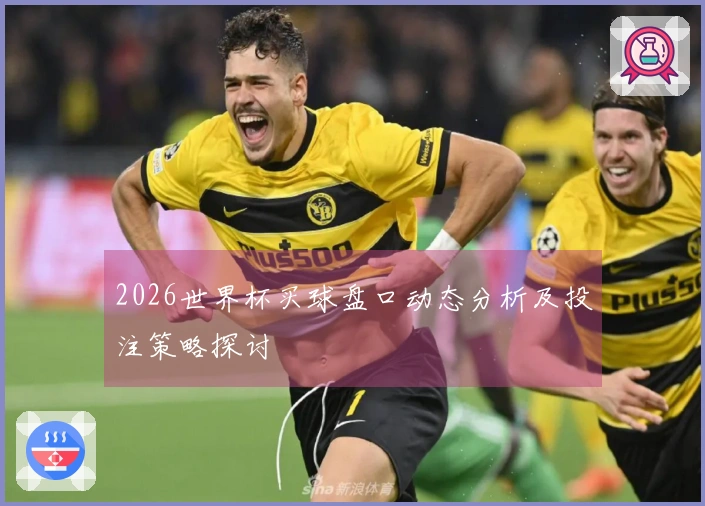 2026世界杯买球盘口动态分析及投注策略探讨