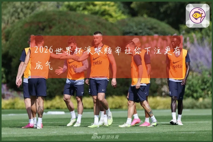2026世界杯滚球赔率让你下注更有底气