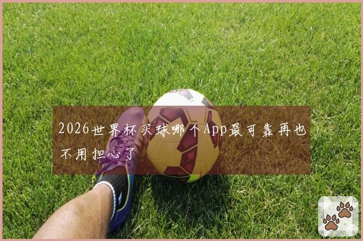 2026世界杯买球哪个App最可靠再也不用担心了